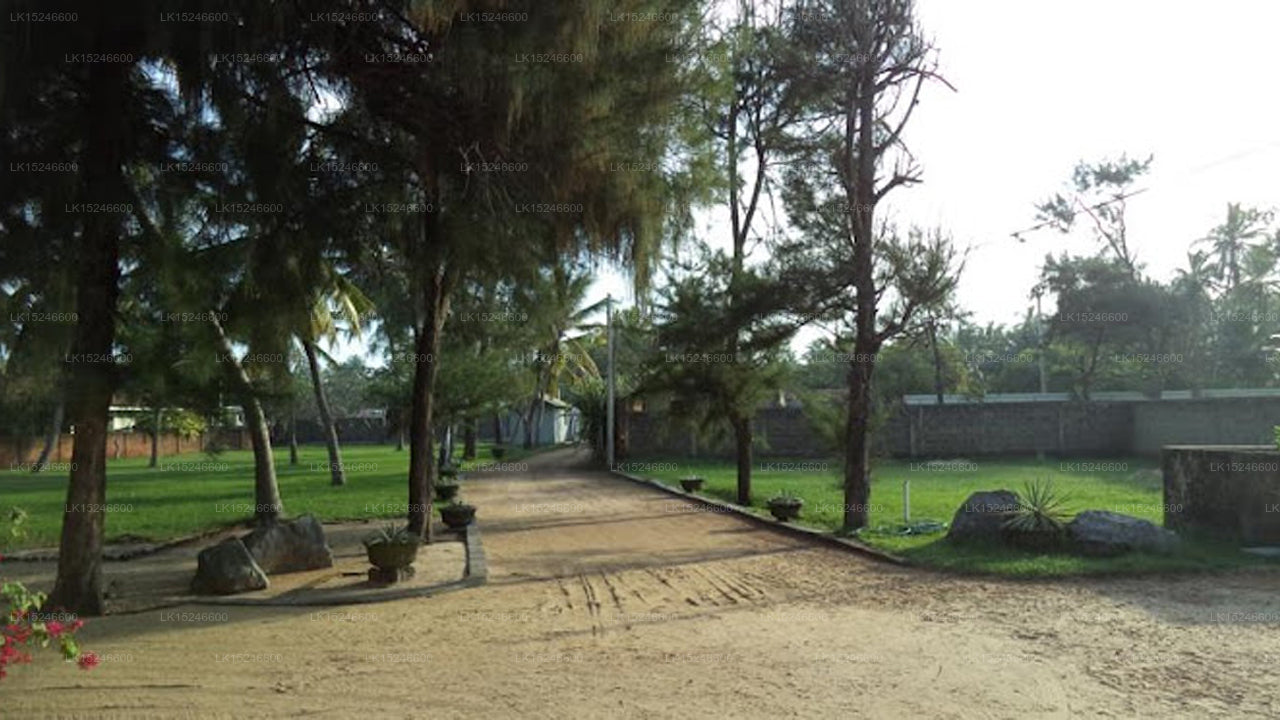 Hansa Villa, Negombo