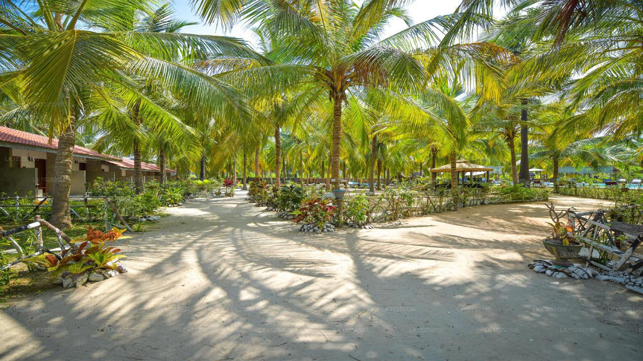 De Silva Palm Resort, Kalpitiya