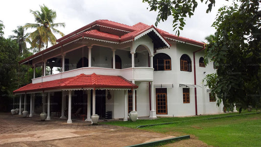 Negombo Village Guest house ,Negombo