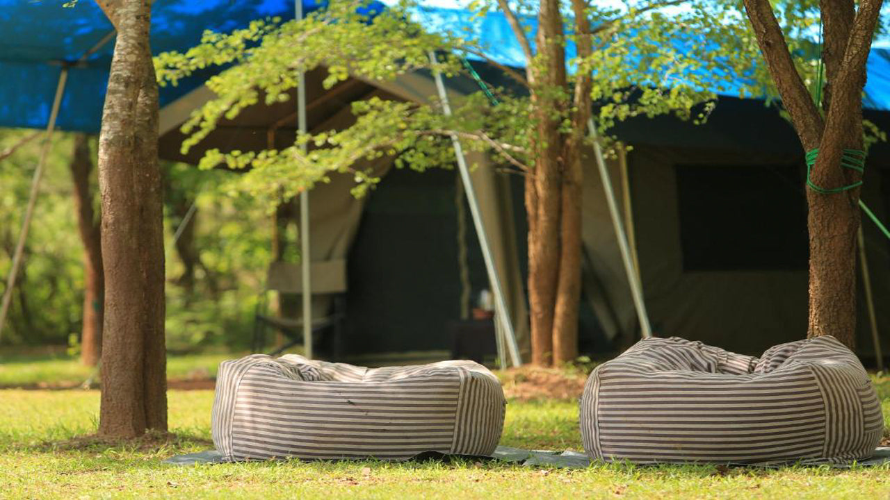 Big Game Camps and Lodges, Wilpattu