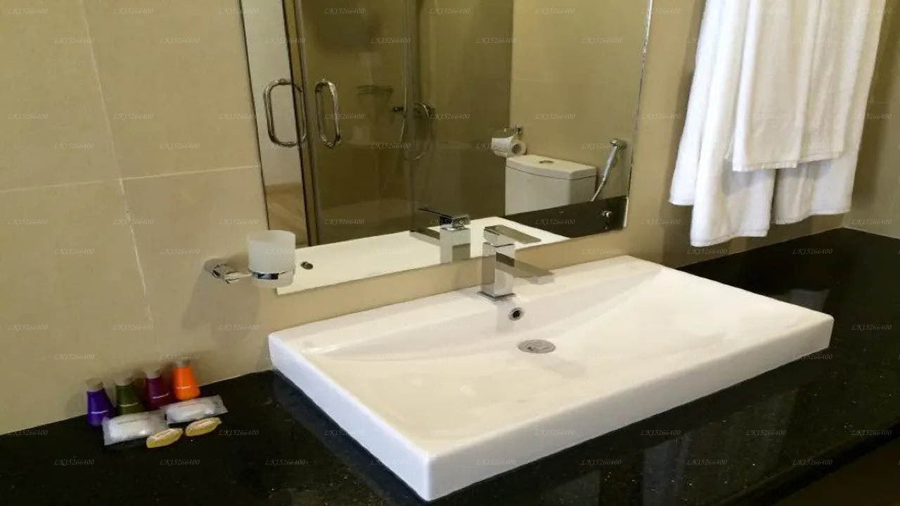 The Rain Tree, Tissamaharama