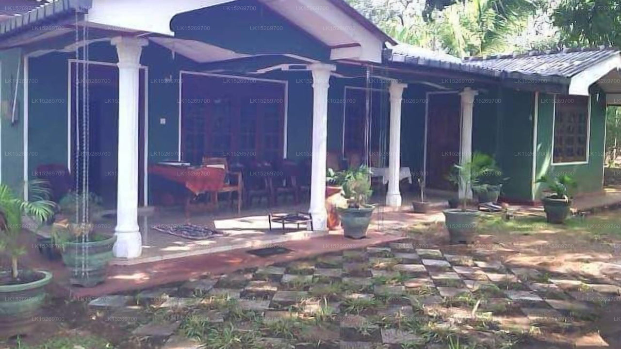 The Lake Breeze, Habarana