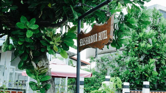 Seals Harbor Hotel, Weligama