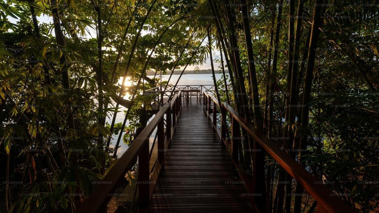 MO River House, Hikkaduwa