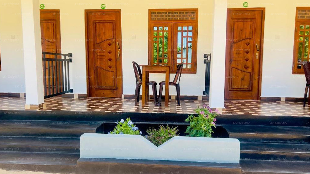 Coconut Leaf Shadow Guest, Nilaveli