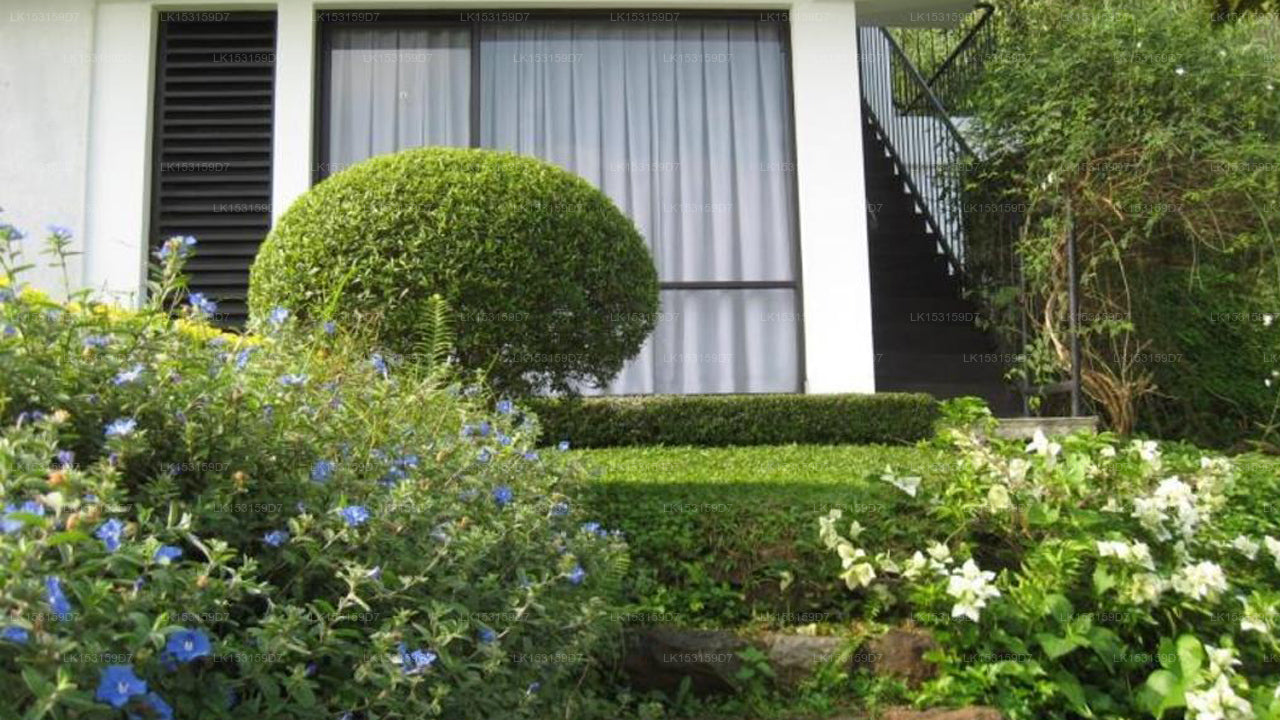 Zenith Home Stay, Matale