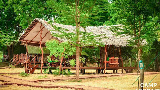 Camp Leopard - Yala Safari Glamping, Yala
