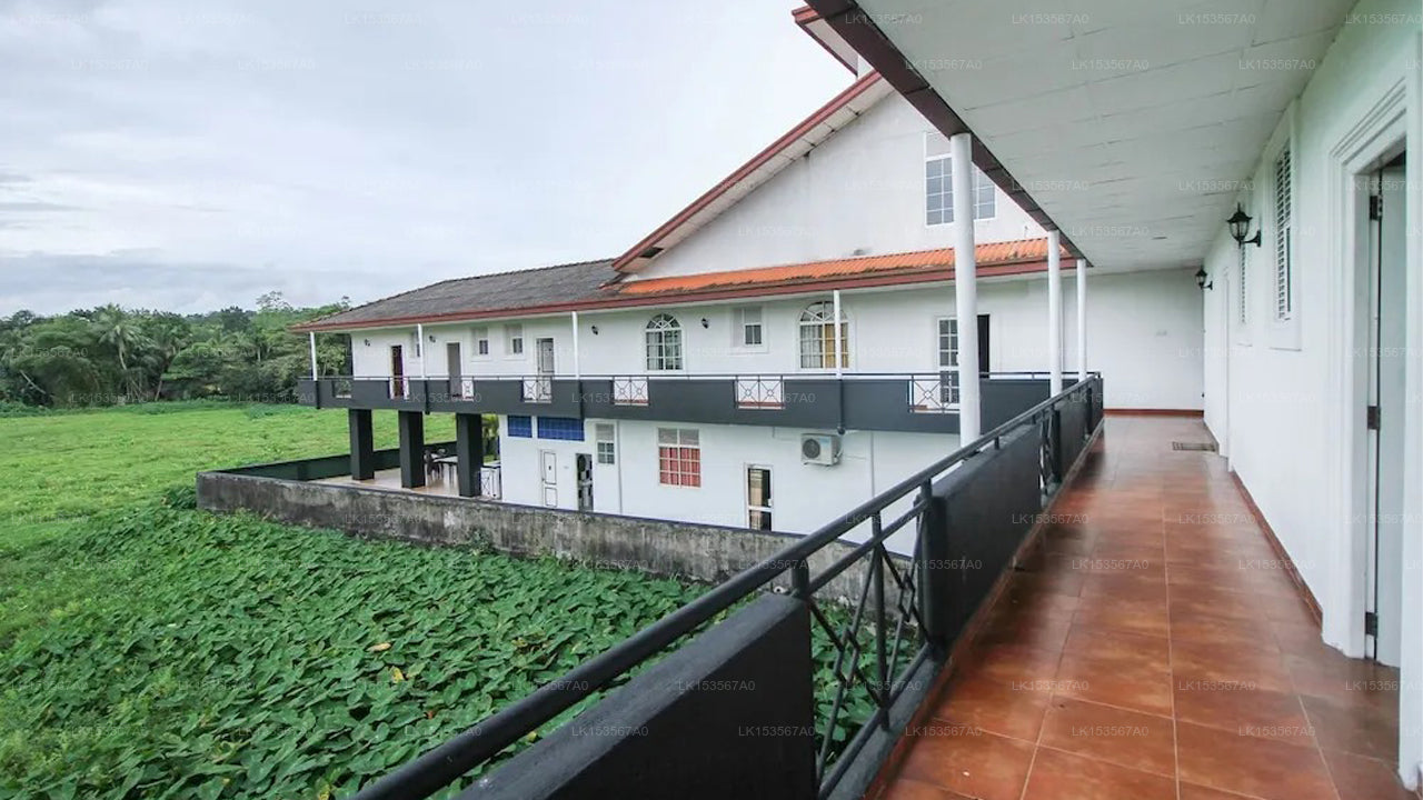 OYO 428 Wasantha Guest House, Elpitiya