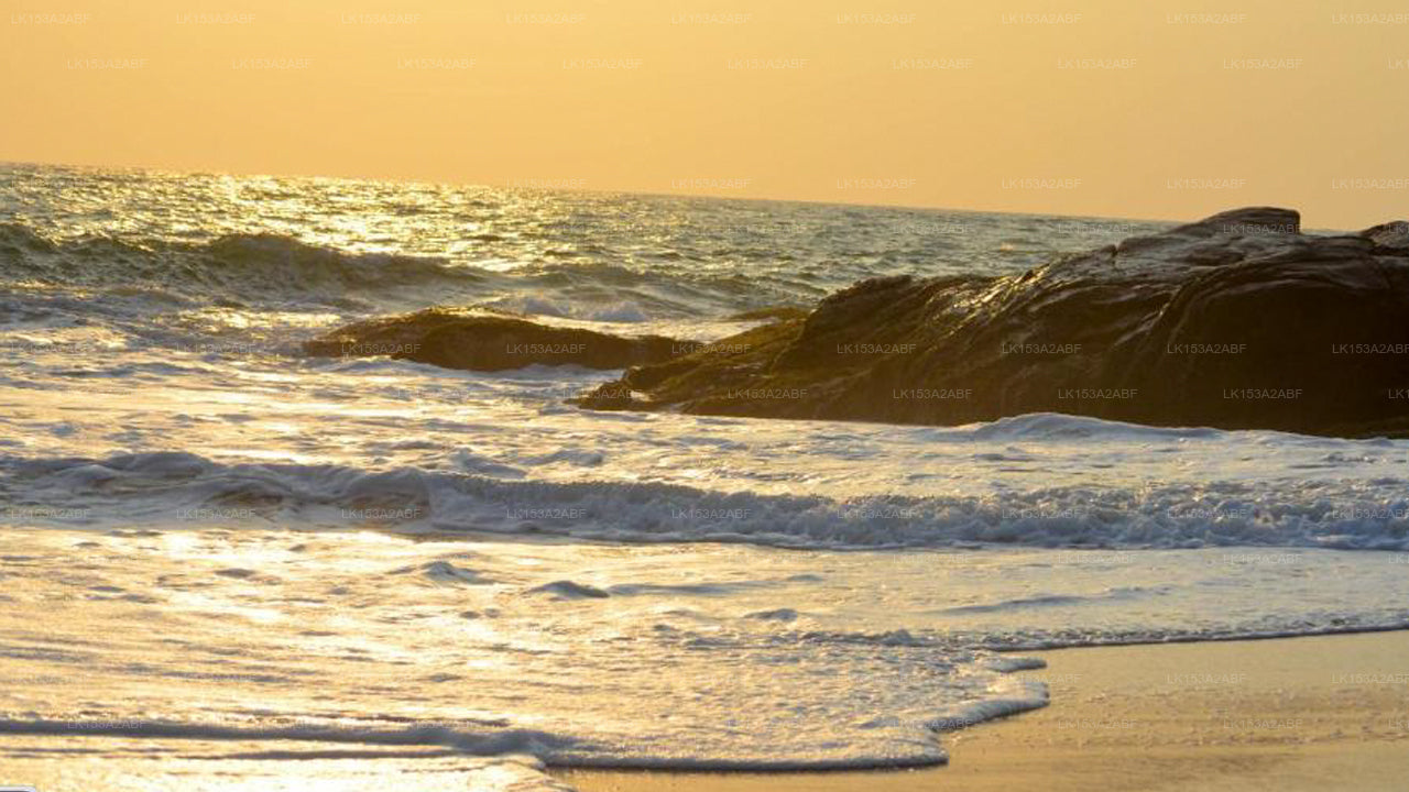 Beach Villa, Induruwa