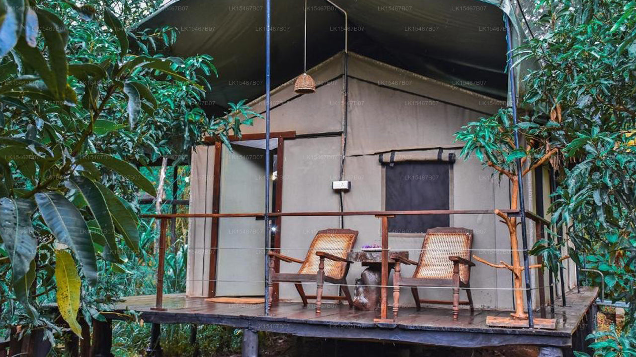 River Glamping By Gaga Bees, udawalawe