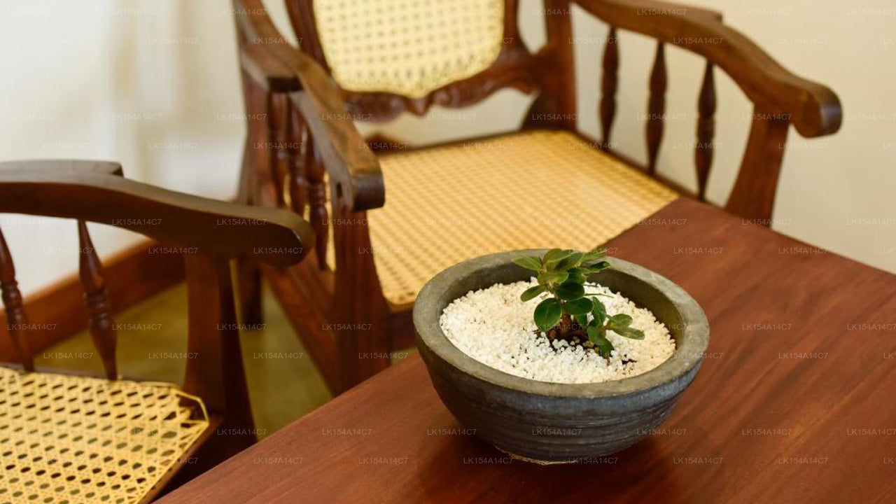 Laguna Hiru, Negombo