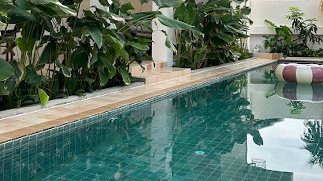 Layback Surf & Yoga Camp, Weligama