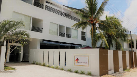 Daffodils Beach, Negombo