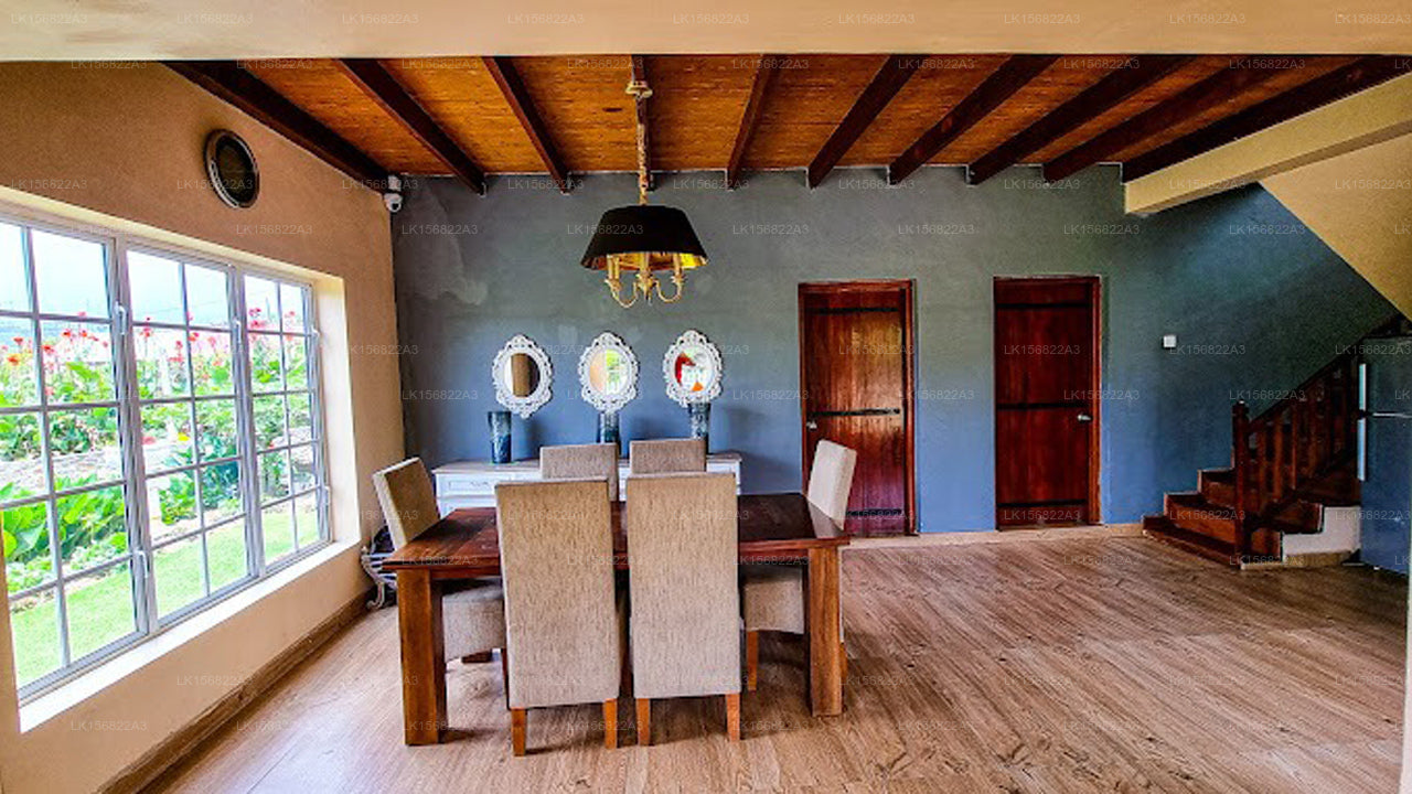 The Other Corner, Galaha