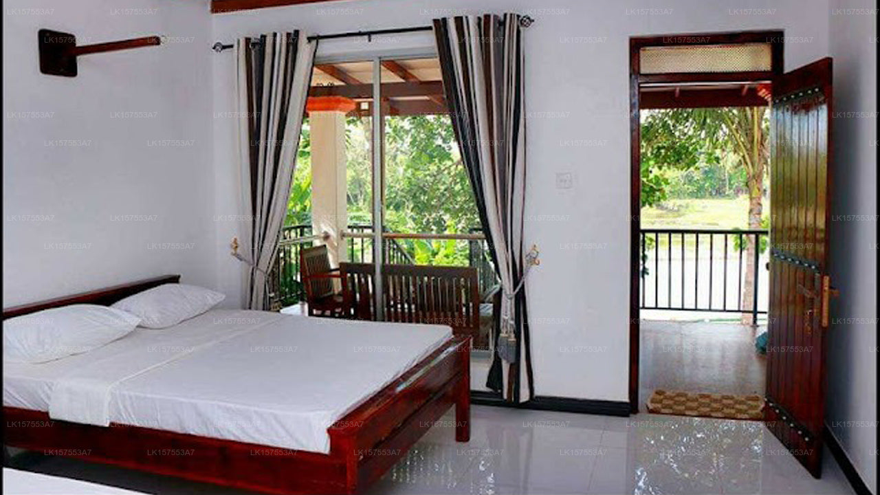 Man Guest, Polonnaruwa