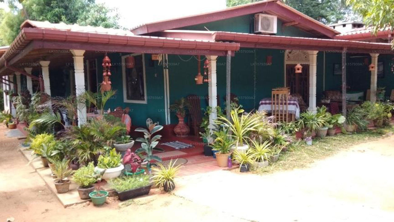 Family Nest, Dambulla