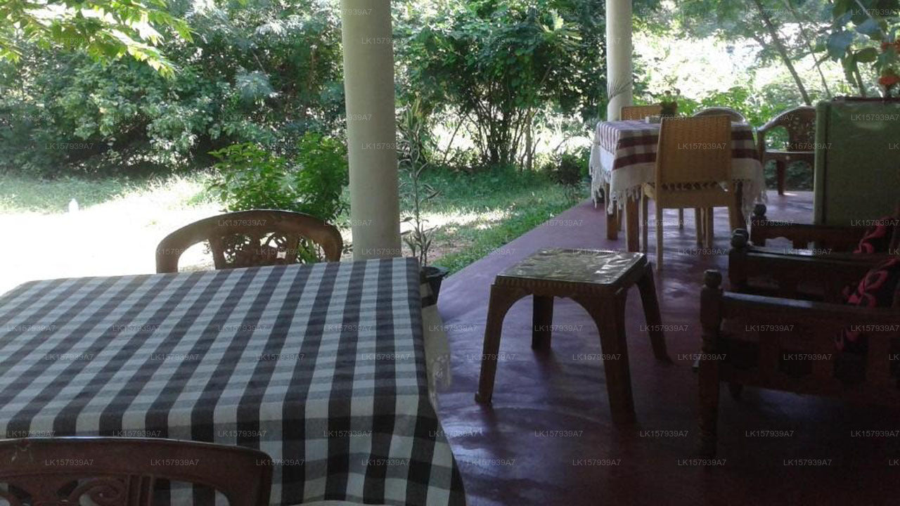 Family Nest, Dambulla