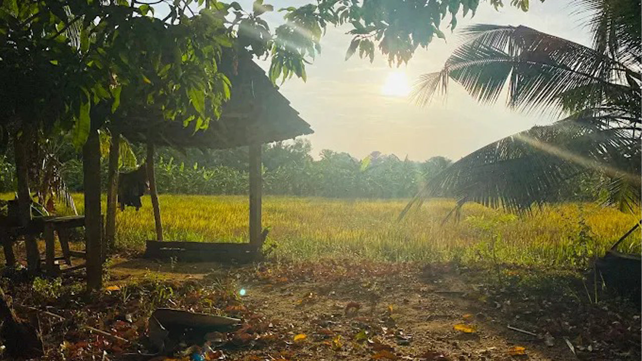 Countryside farming by Athgira, Udawalawe