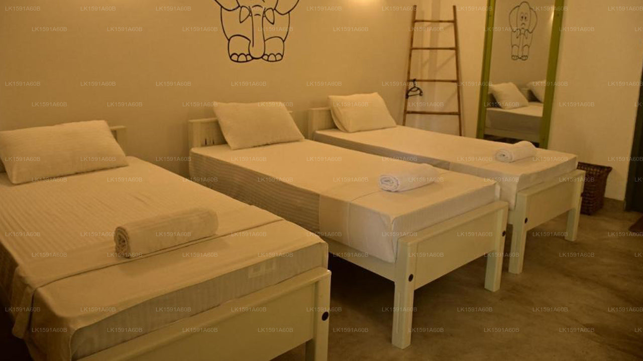 Moi Dambulla by DBI, Dambulla