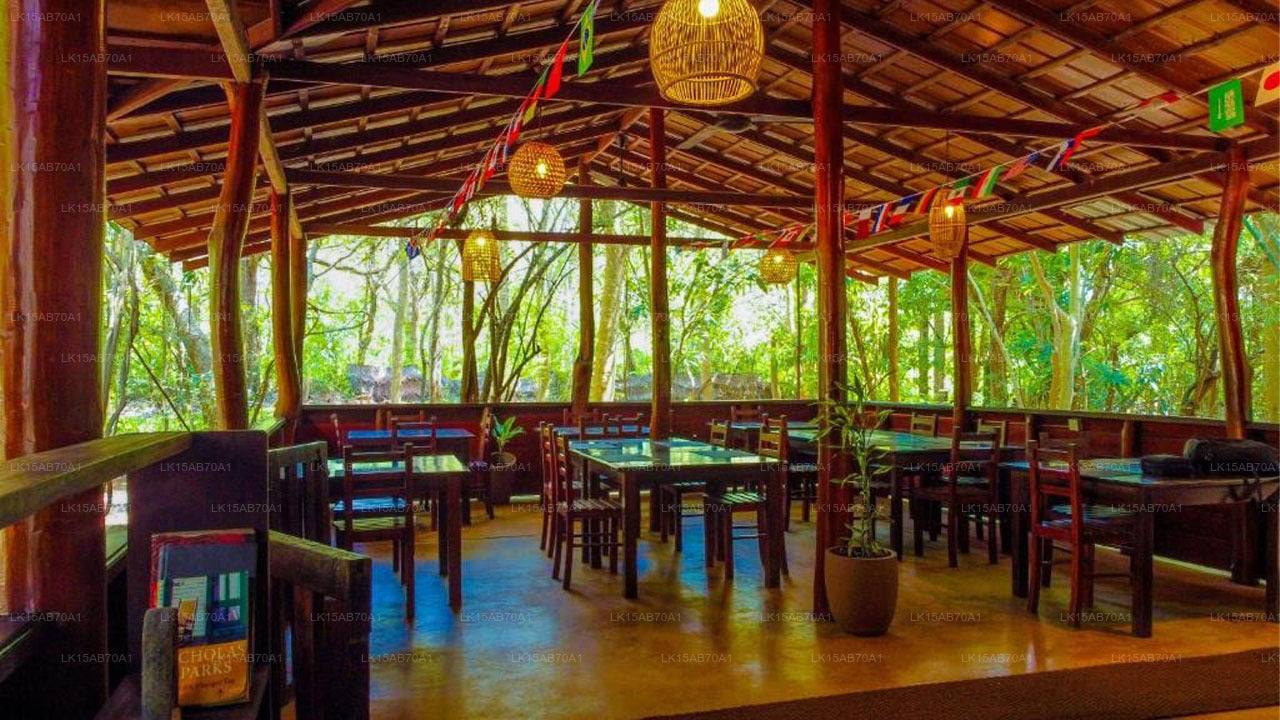 Jungle Host Hostel And Tree Housem, Sigiriya