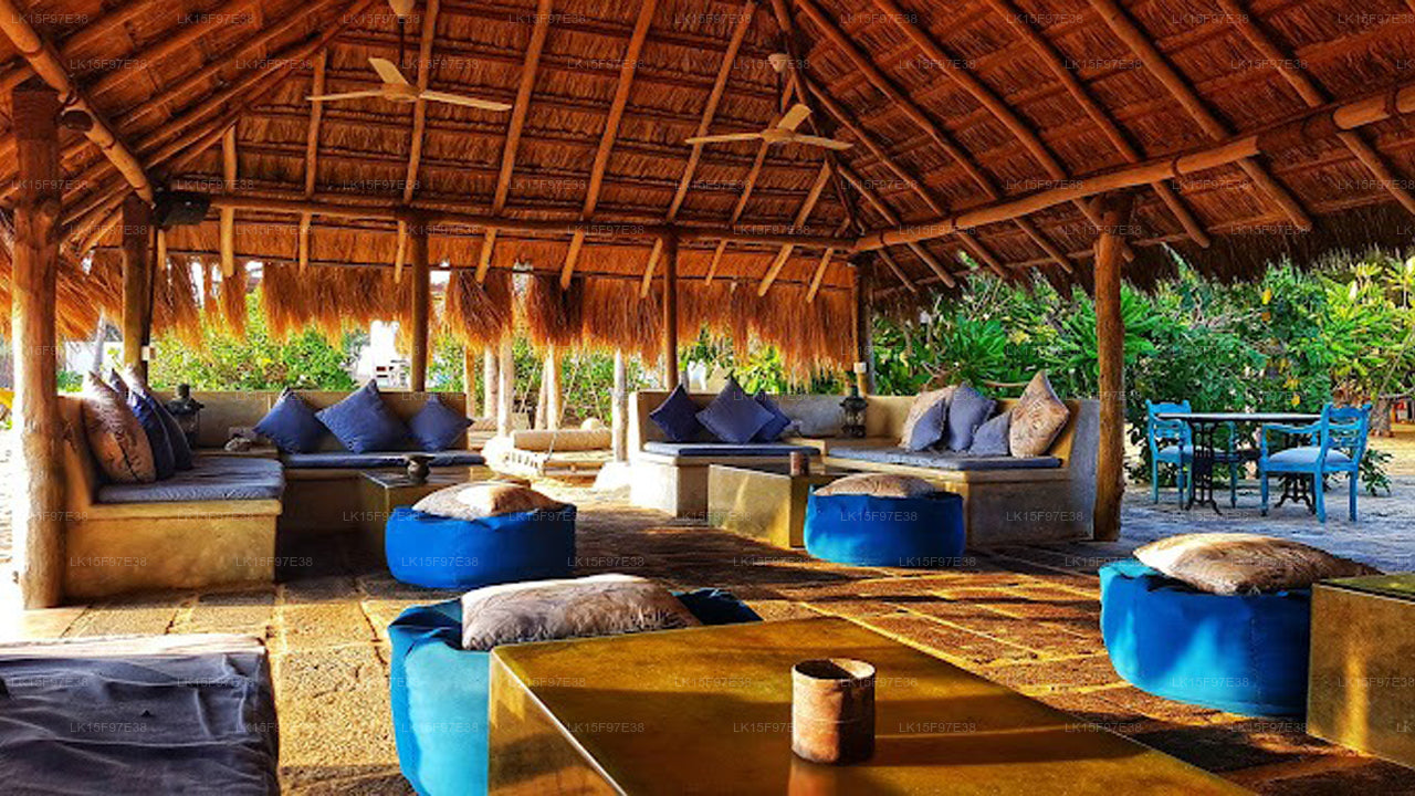 Dancing Dolphin, kalpitiya