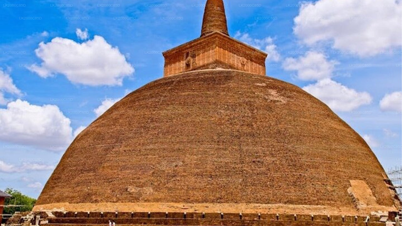 Wycieczka z przewodnikiem po świętym obszarze Anuradhapura z biletami wstępu