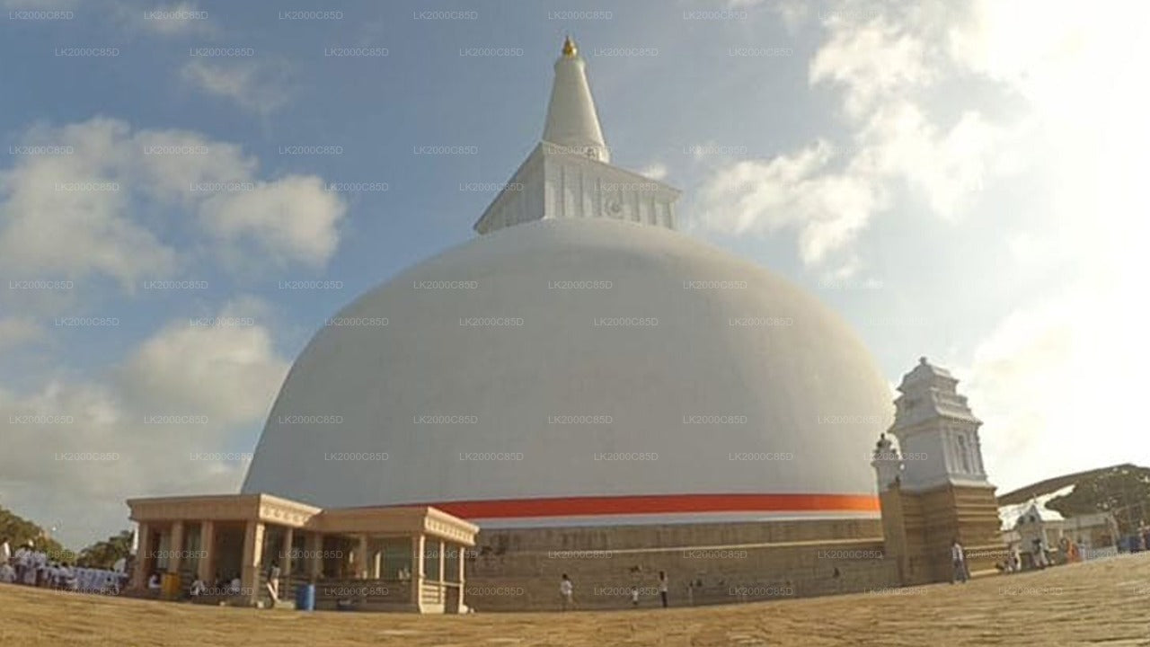Wycieczka z przewodnikiem po świętym obszarze Anuradhapura z biletami wstępu