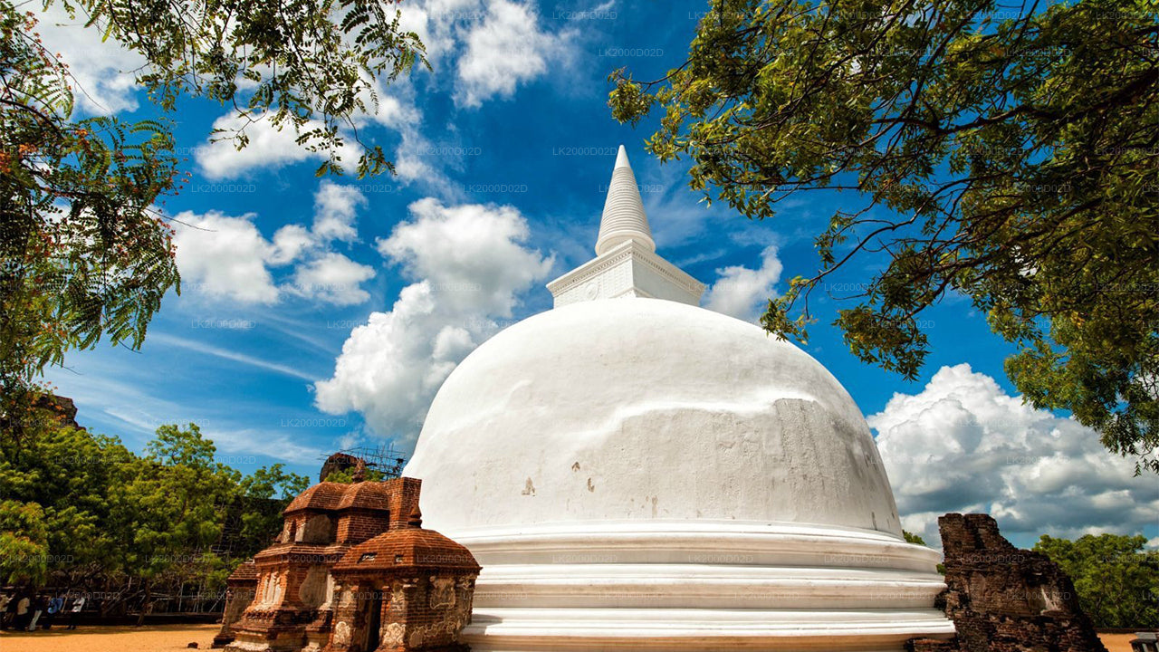 Wycieczka z przewodnikiem po starożytnym mieście Polonnaruwa z biletami wstępu