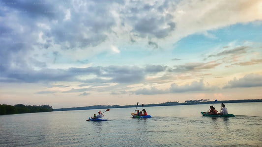 Wycieczka kajakowa po lagunie z Negombo