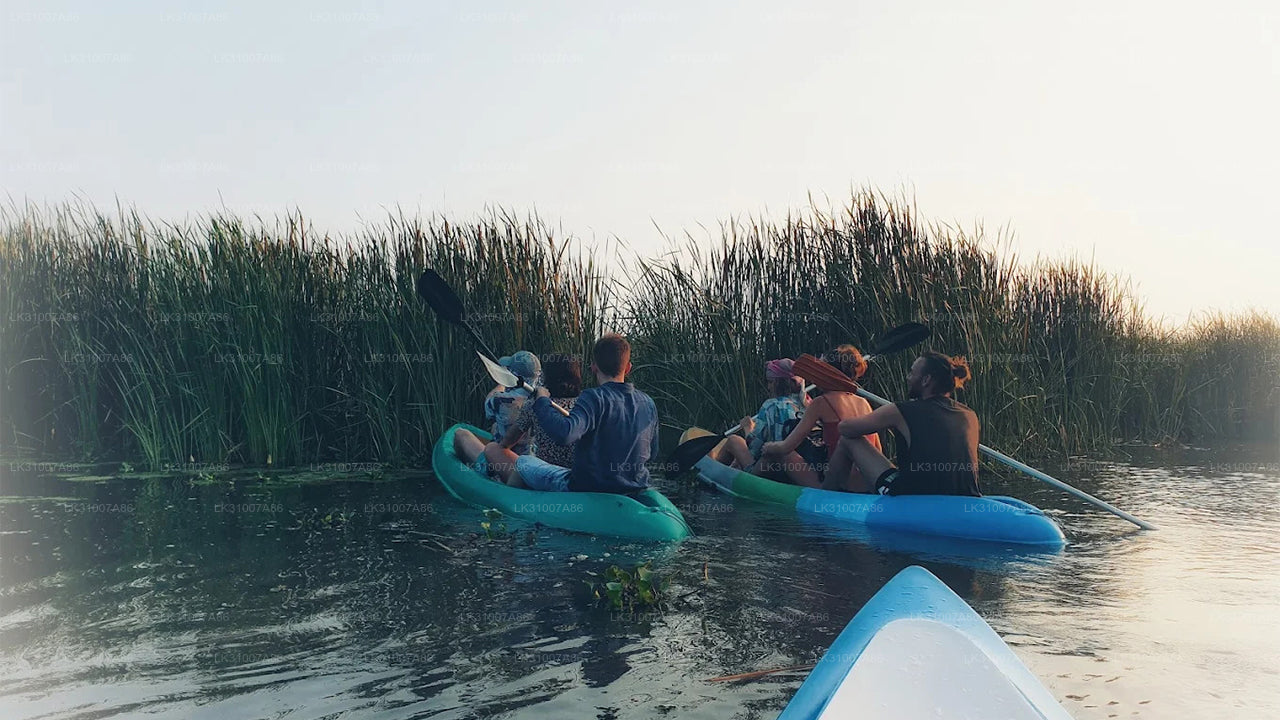 Wycieczka kajakowa po lagunie z Negombo