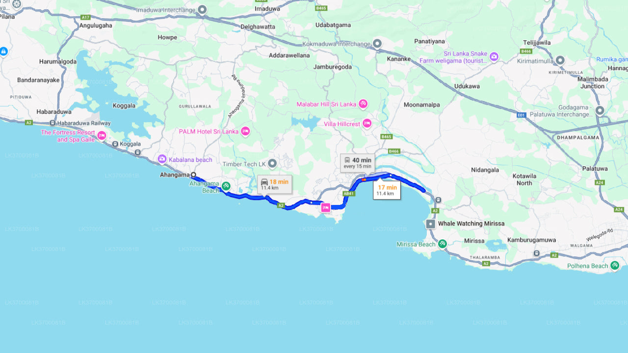 Obserwowanie wielorybów z Ahangamy na wspólnej łodzi