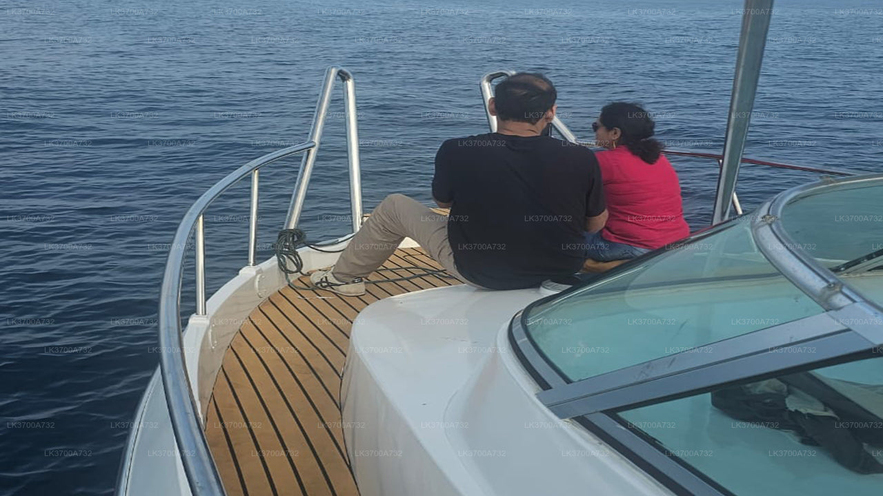 Prywatny rejs z obserwacją wielorybów luksusową łodzią motorową z Mirissy