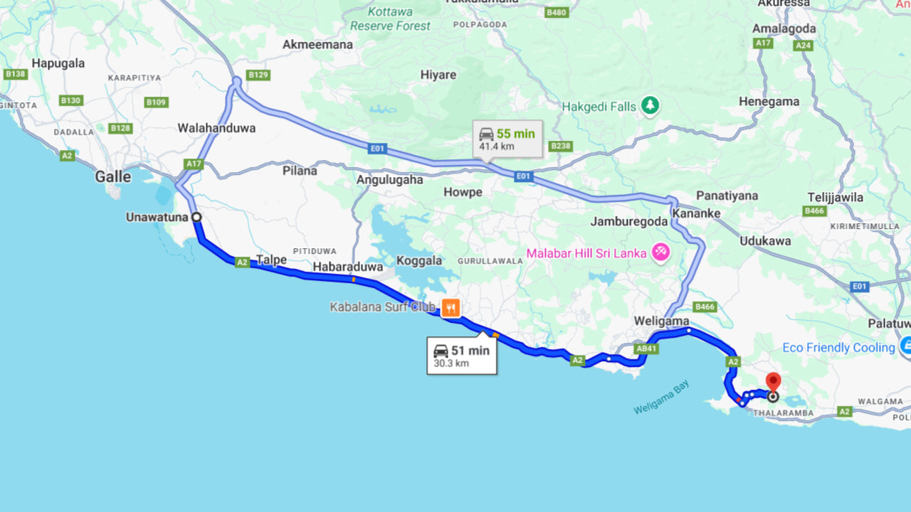 Obserwowanie wielorybów z Unawatuny na wspólnej łodzi