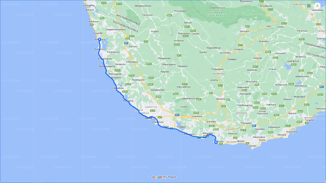 Obserwowanie wielorybów z Ahungalla na wspólnej łodzi