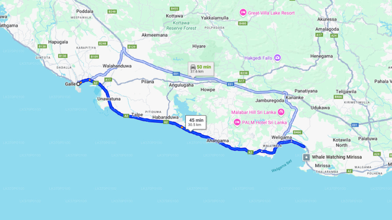 Obserwowanie wielorybów z Hiriketiya na wspólnej łodzi