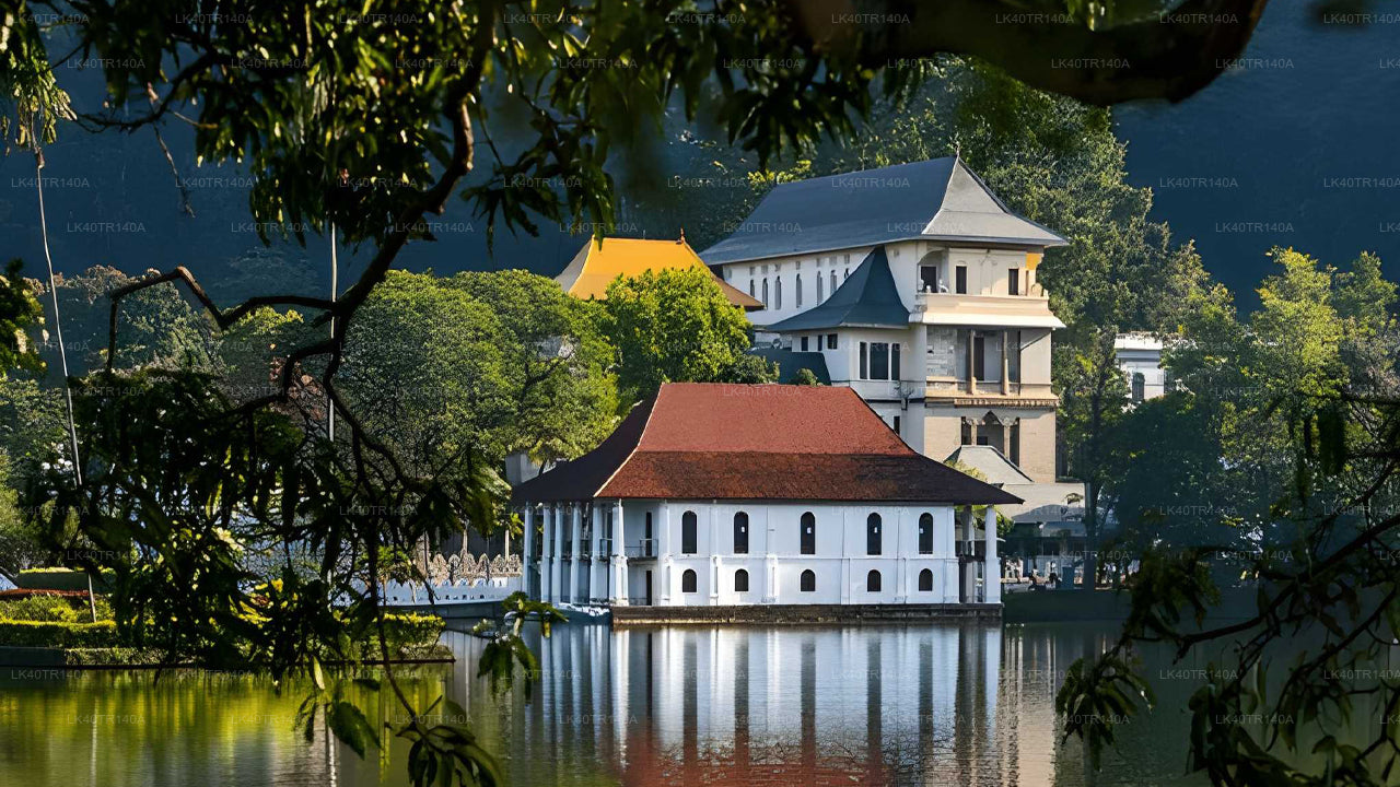 Z Elli do Kandy: malownicza podróż pociągiem i samochodem lub vanem