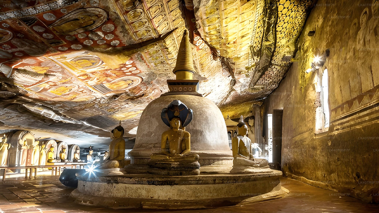 Prywatny transfer z Kolombo do Sigiriya z przystankami turystycznymi