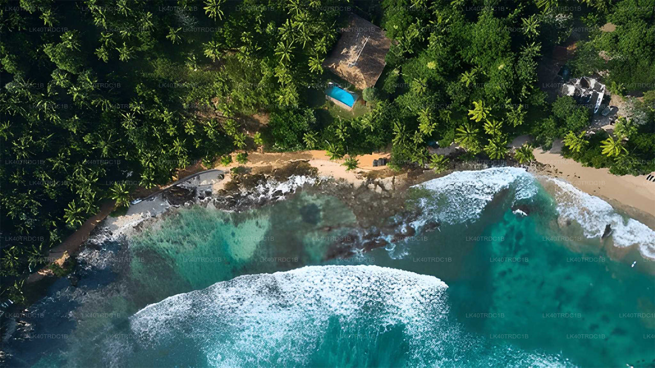 Prywatny transfer z Negombo do Hiriketiya z przystankami turystycznymi