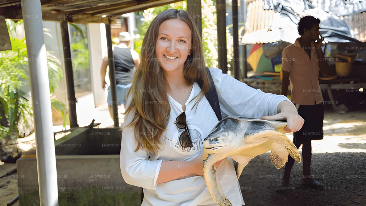 Prywatny transfer z Negombo do Hiriketiya z przystankami turystycznymi