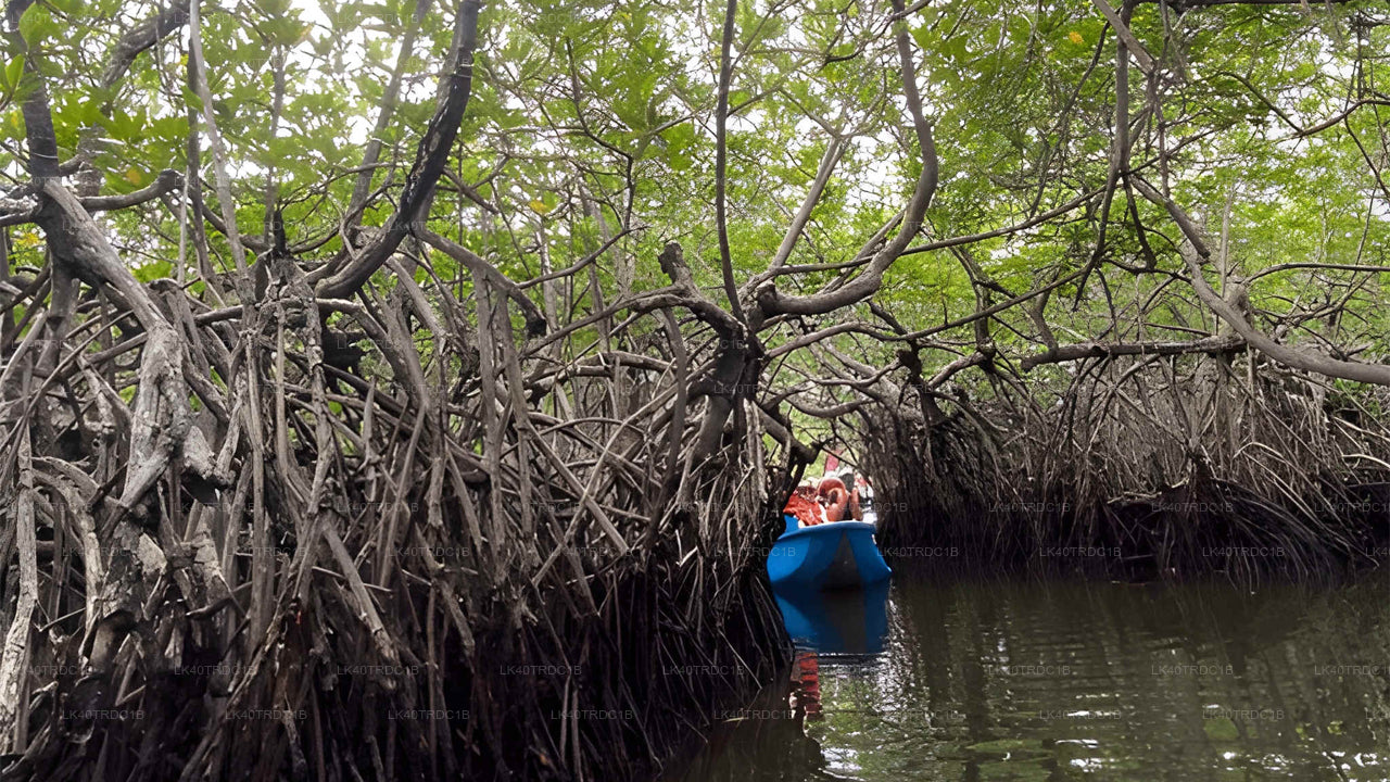 Prywatny transfer z Negombo do Hiriketiya z przystankami turystycznymi