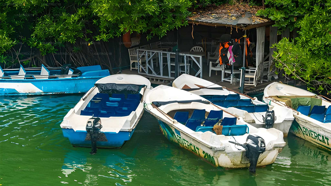 Prywatny transfer z Negombo do Hiriketiya z przystankami turystycznymi