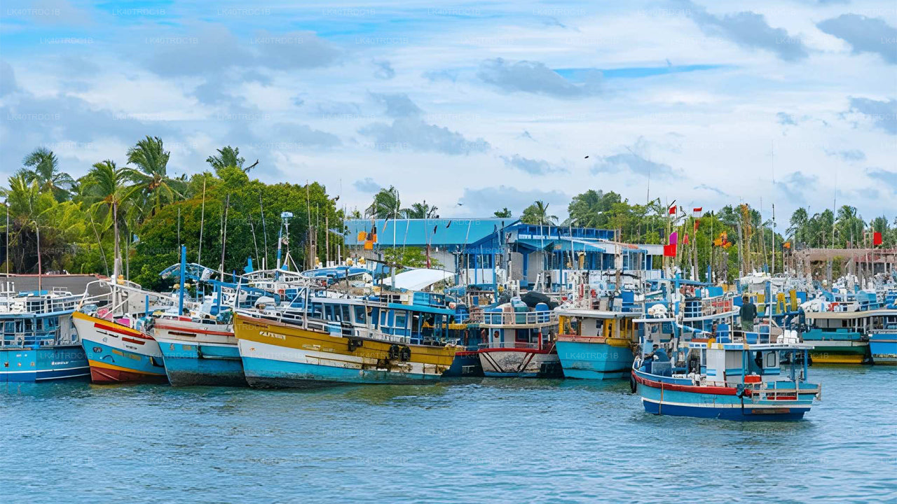 Prywatny transfer z Negombo do Hiriketiya z przystankami turystycznymi