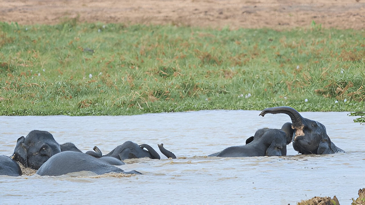 Transport z biletami