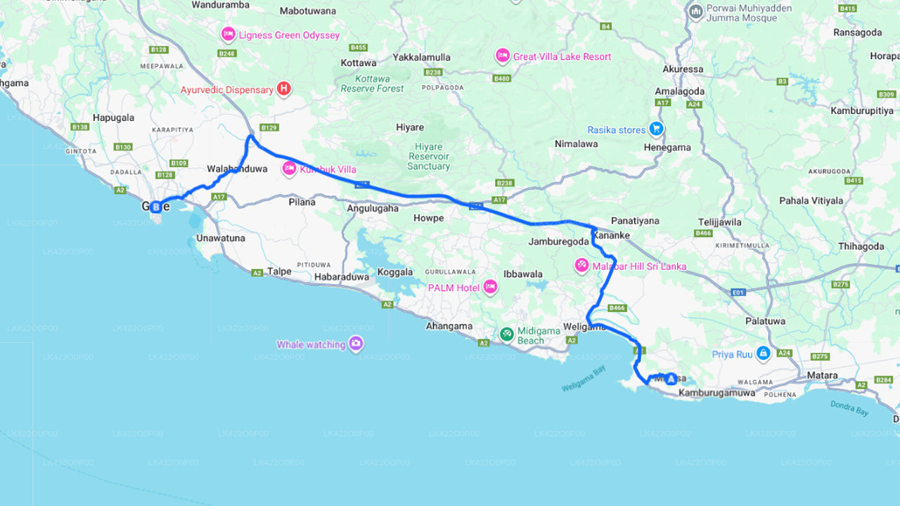 Mirissa City to Galle City Private Transfer