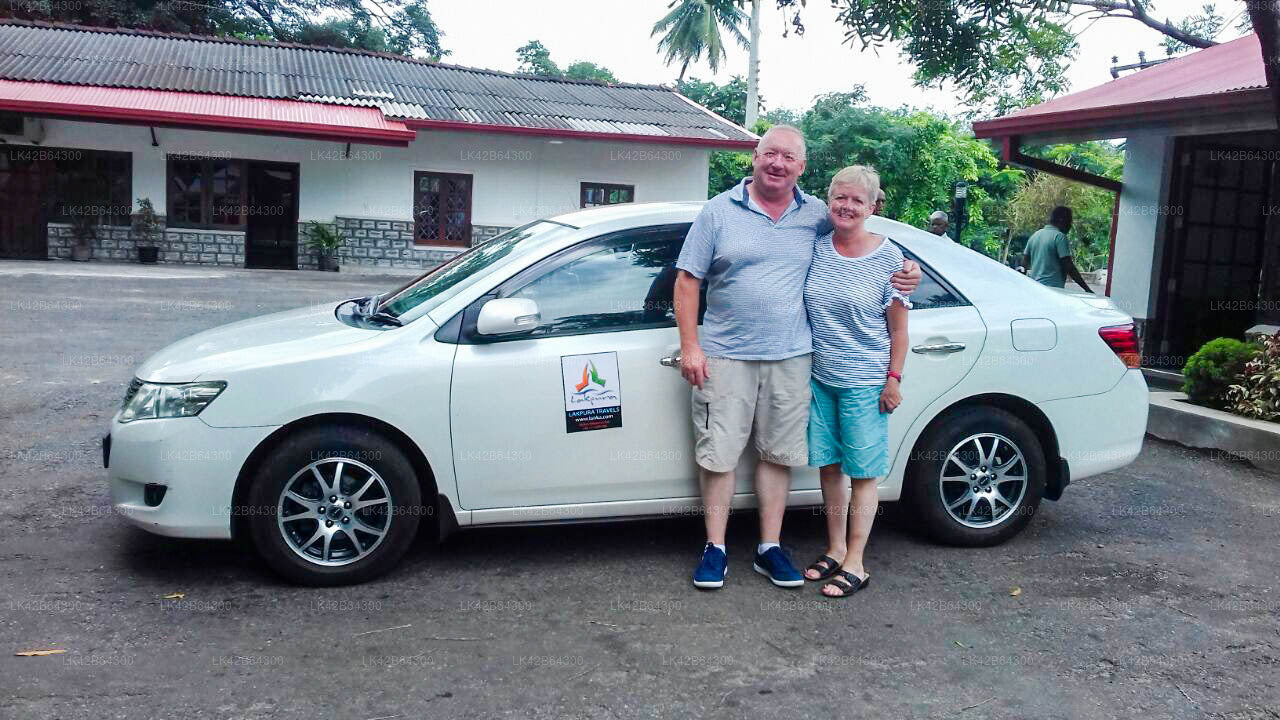 Prywatny transfer z Trincomalee do Pasikudy