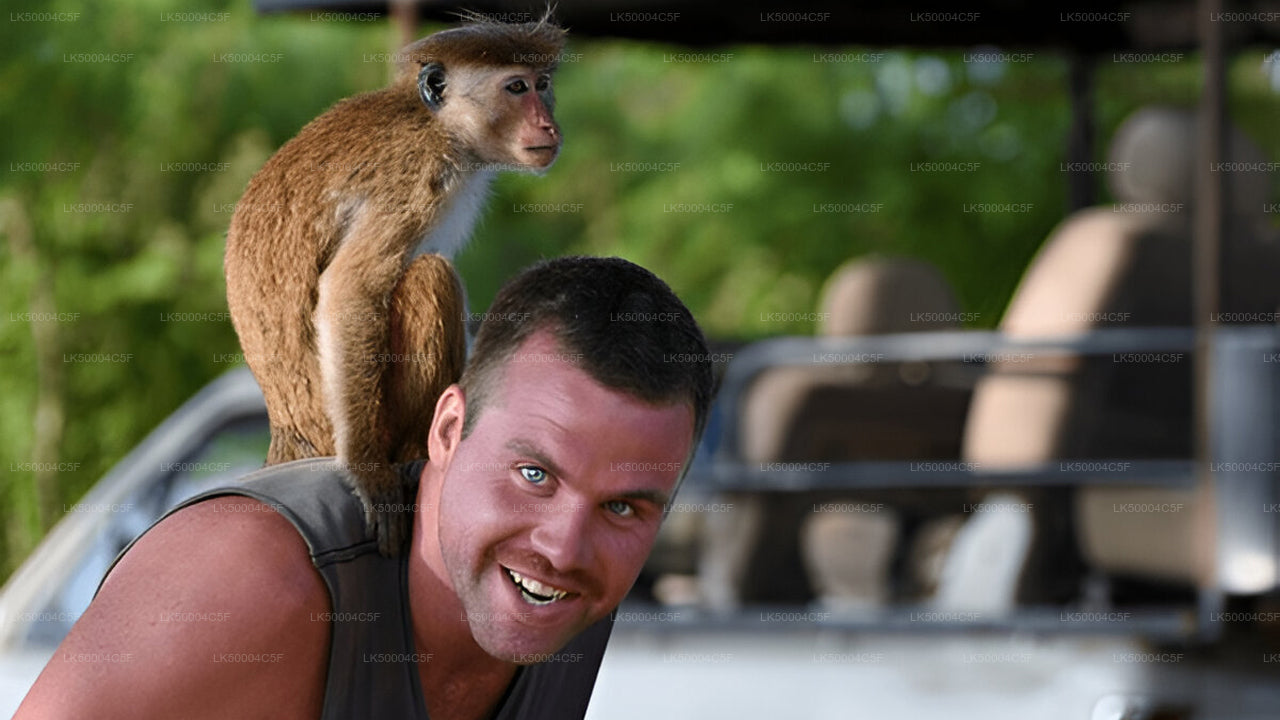 Prywatna wycieczka z Elli do Weligamy z Udawalawe Safari