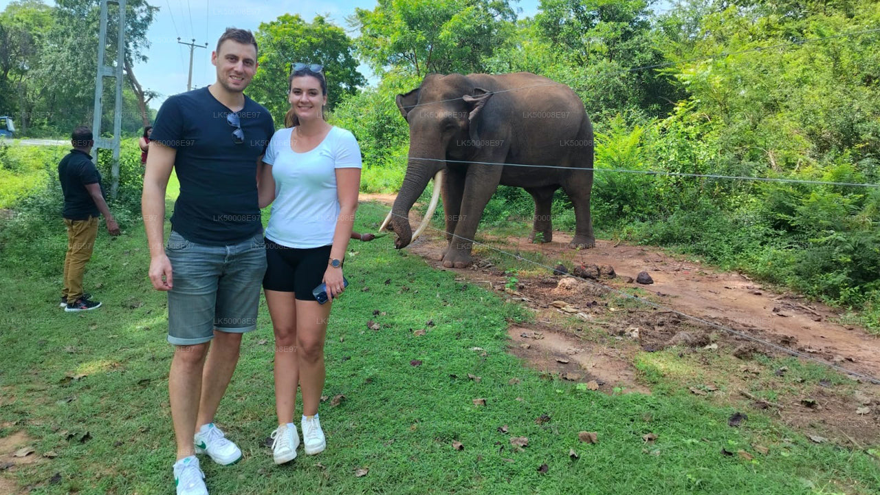 Park Narodowy Udawalawe Safari z Mirissa