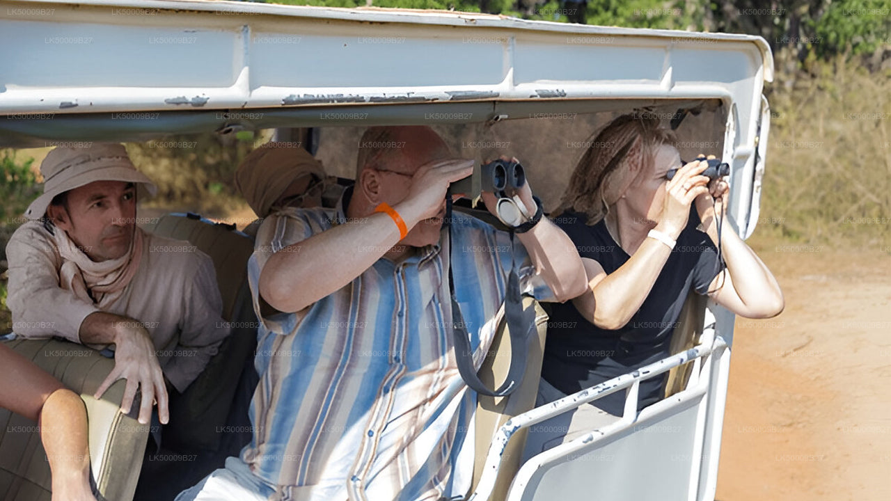 Prywatna wycieczka z Weligama do Elli z Yala Safari