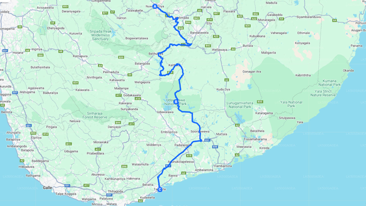 Private Tour from Nuwara Eliya to Tangalle with Udawalawe Safari