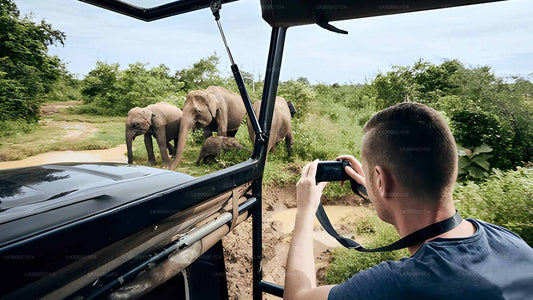 Prywatna wycieczka z Elli do Hiriketiya z Udawalawe Safari